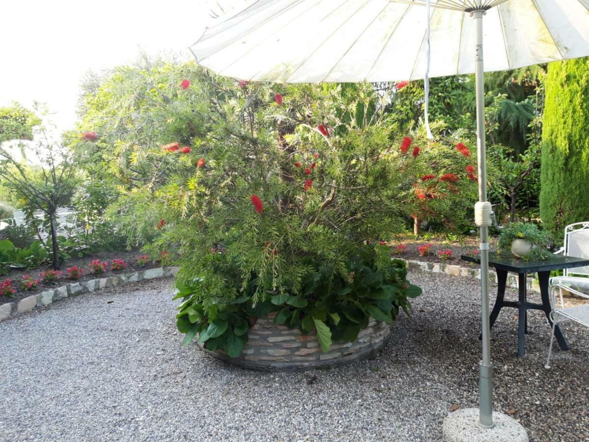 Debora Maison B&B Colombare Di Sirmione Eksteriør billede